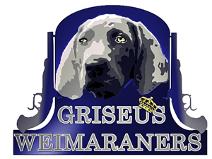 Logo Design by Mario Bianchi for Griseus | Design: #215519