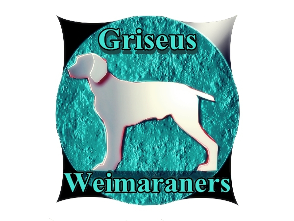 Logo Design by Mario Bianchi for Griseus | Design #215807