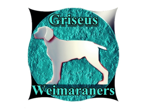 Logo Design by Mario Bianchi for Griseus | Design #215807