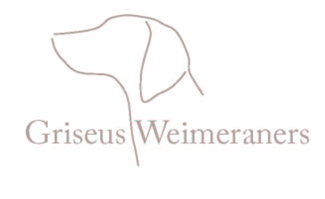 Logo Design by TDC Communications for Griseus | Design #213490