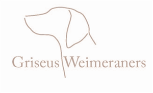 Logo Design by TDC Communications