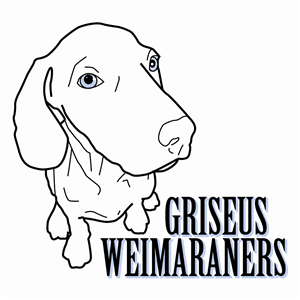 Logo Design by Laura Cagle for Griseus | Design: #208351