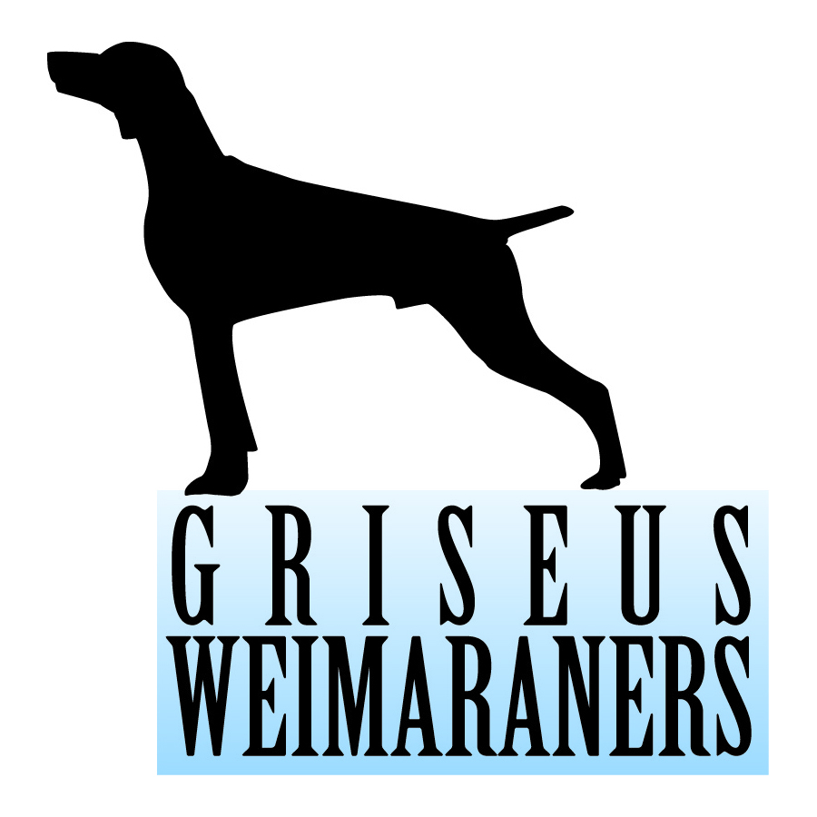 Diseño de Logo por Laura Cagle para Griseus | Diseño #208353