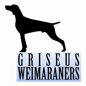 Logo Design by Laura Cagle for Griseus | Design: #208353