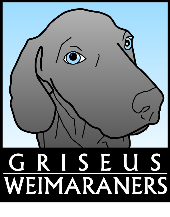 Diseño de Logo por Laura Cagle para Griseus | Diseño #210505