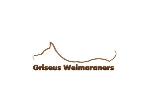 Logo Design by viniandra for Griseus | Design #208982