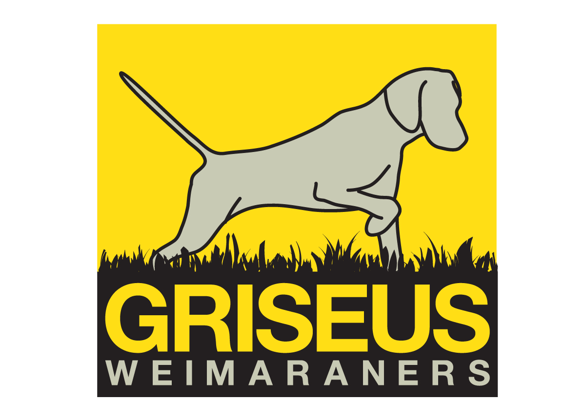 Diseño de Logo por Missy para Griseus | Diseño #225266