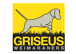 Logo Design by Missy