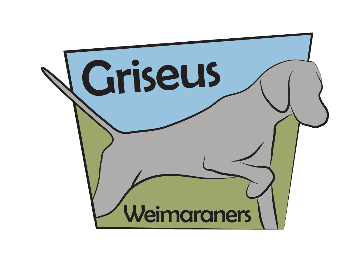 Diseño de Logo por Missy para Griseus | Diseño #225291