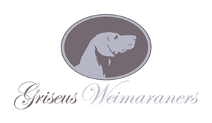 Logo Design by Innerworld Designs ltd. for Griseus | Design #212060