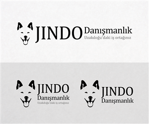 Logo Design by Apolaki for JINDO DANISMANLIK HIZMETLERI A.S. | Design: #1315128