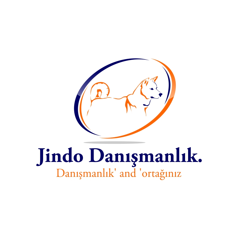 Logo Design by RUDI71 for JINDO DANISMANLIK HIZMETLERI A.S. | Design #1315524