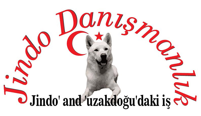 Logo Design by como for JINDO DANISMANLIK HIZMETLERI A.S. | Design #1312976