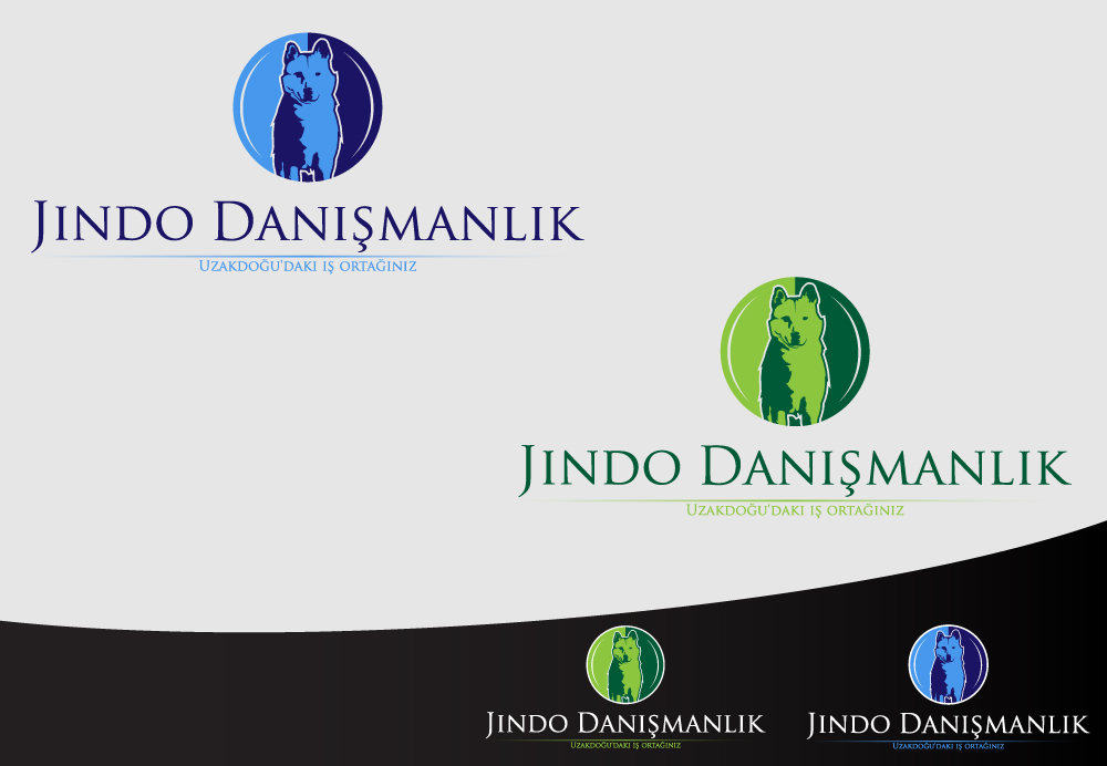 Logo Design by keis604 for JINDO DANISMANLIK HIZMETLERI A.S. | Design #1301519