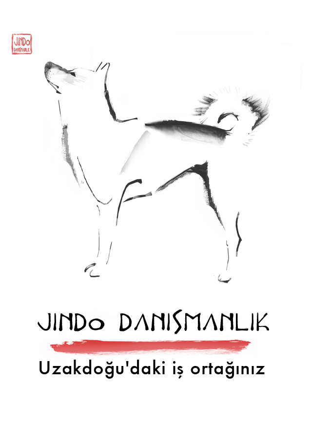 Logo Design by Soubresaut for JINDO DANISMANLIK HIZMETLERI A.S. | Design #1306551