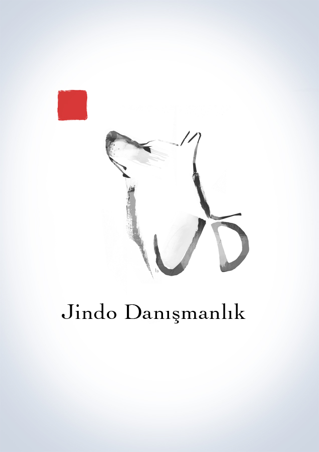 Logo Design by Soubresaut for JINDO DANISMANLIK HIZMETLERI A.S. | Design #1306582