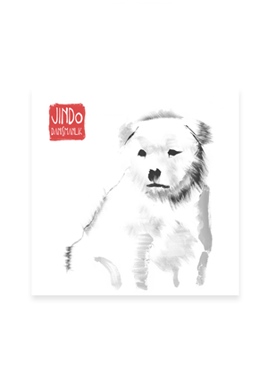 Logo Design by Soubresaut for JINDO DANISMANLIK HIZMETLERI A.S. | Design: #1312936