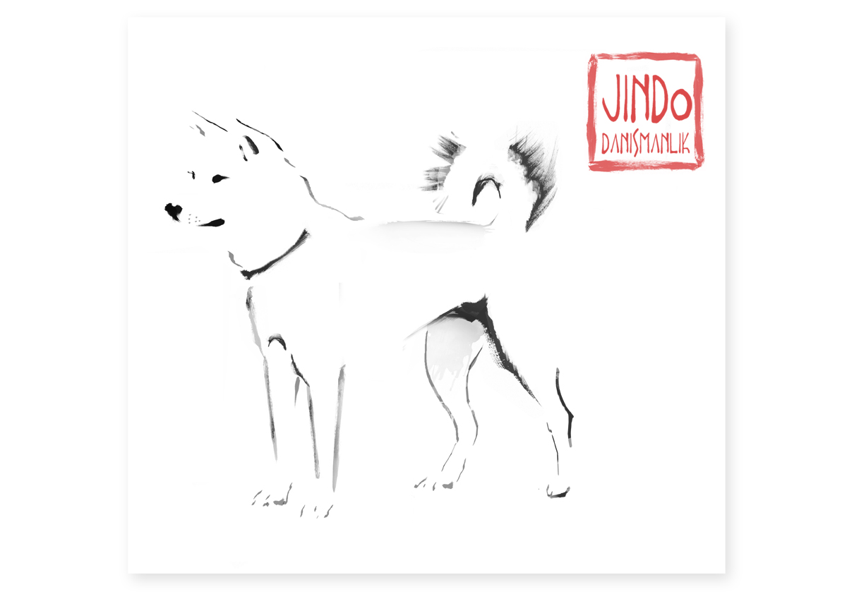 Logo Design by Soubresaut for JINDO DANISMANLIK HIZMETLERI A.S. | Design #1323853