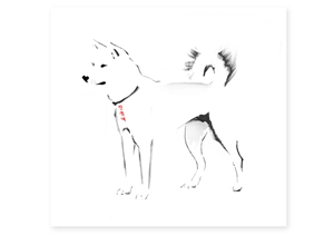 Diseño de Logo por Soubresaut para JINDO DANISMANLIK HIZMETLERI A.S. | Diseño: #1325419