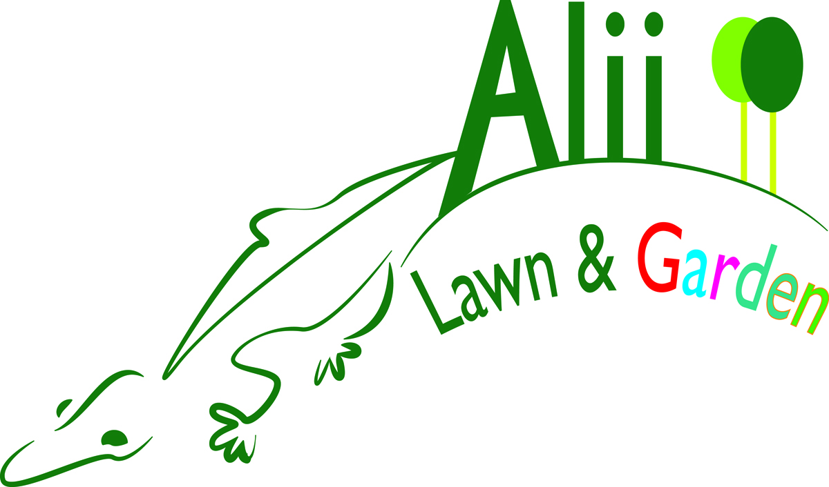 Design de Logo par Elvira de las Casas pour ce projet | Design #4611042