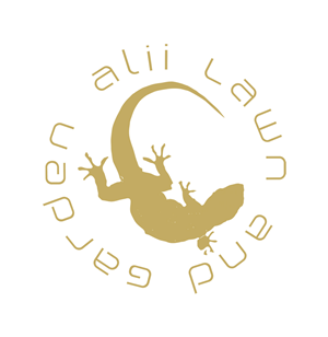 Design de Logo par matejovanajeja pour ce projet | Design : #4603794