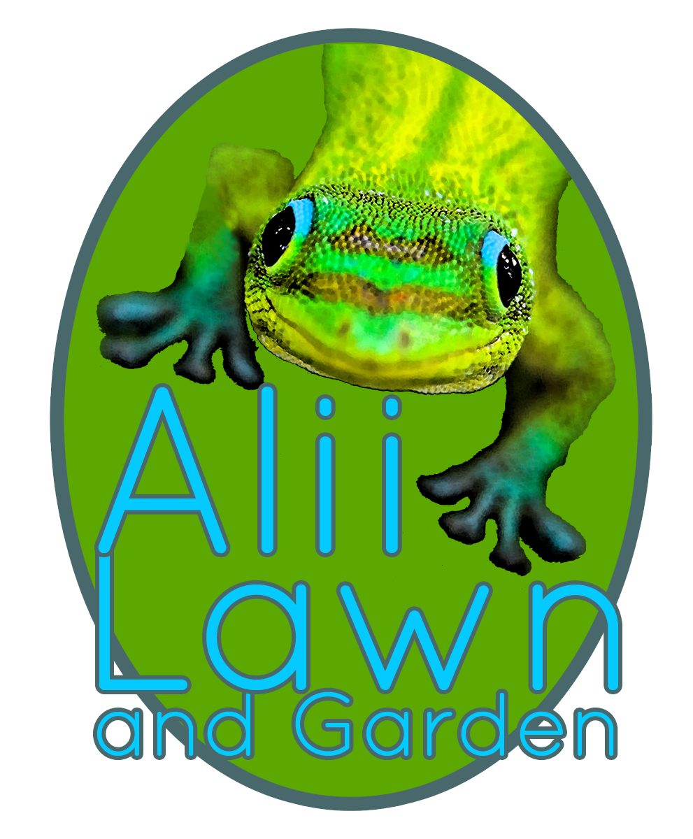 Logo Design by David Winwood for this project | Design #4612736