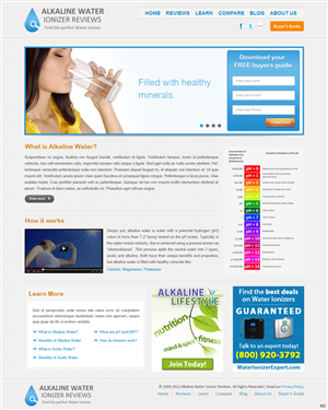 Landing Page Design by pb for Allied Computer Solutions | Design: #1316616
