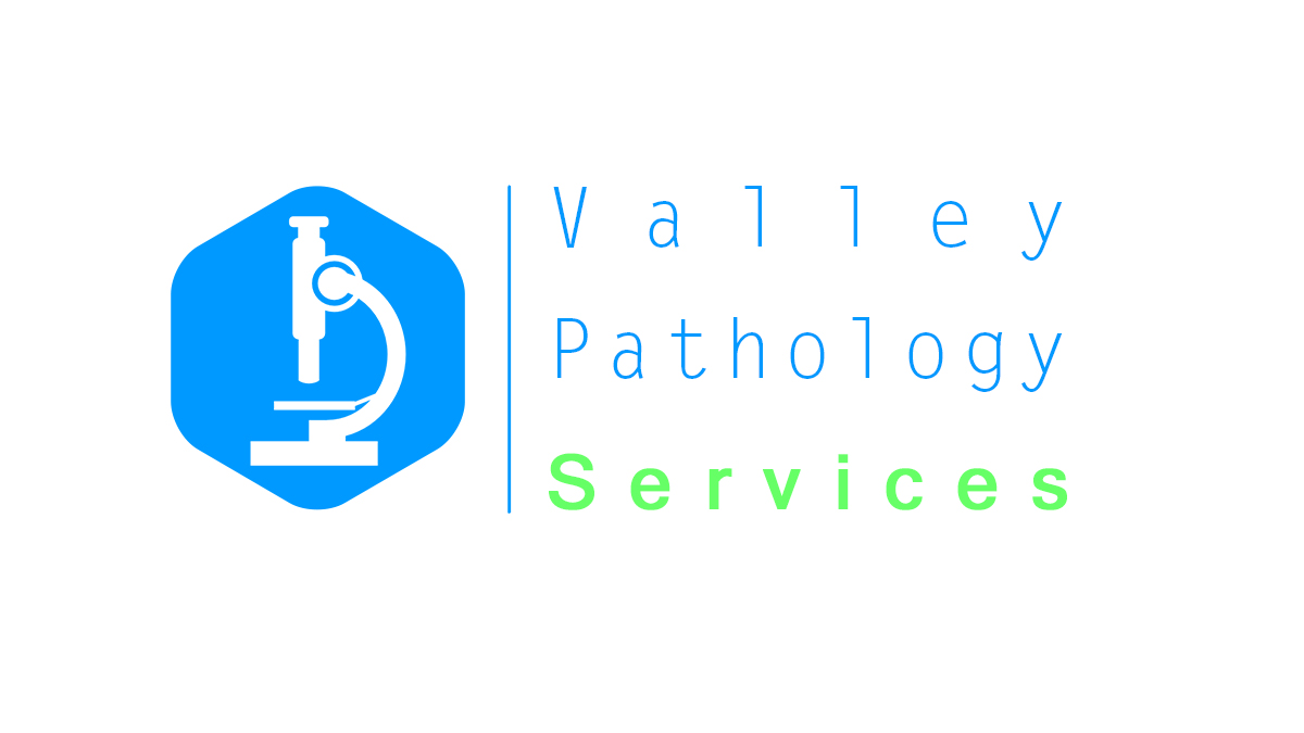 Logo Design by FLA premier for this project | Design #4603837