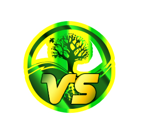 Logo Design by alex.castoru for VS | Design: #209023