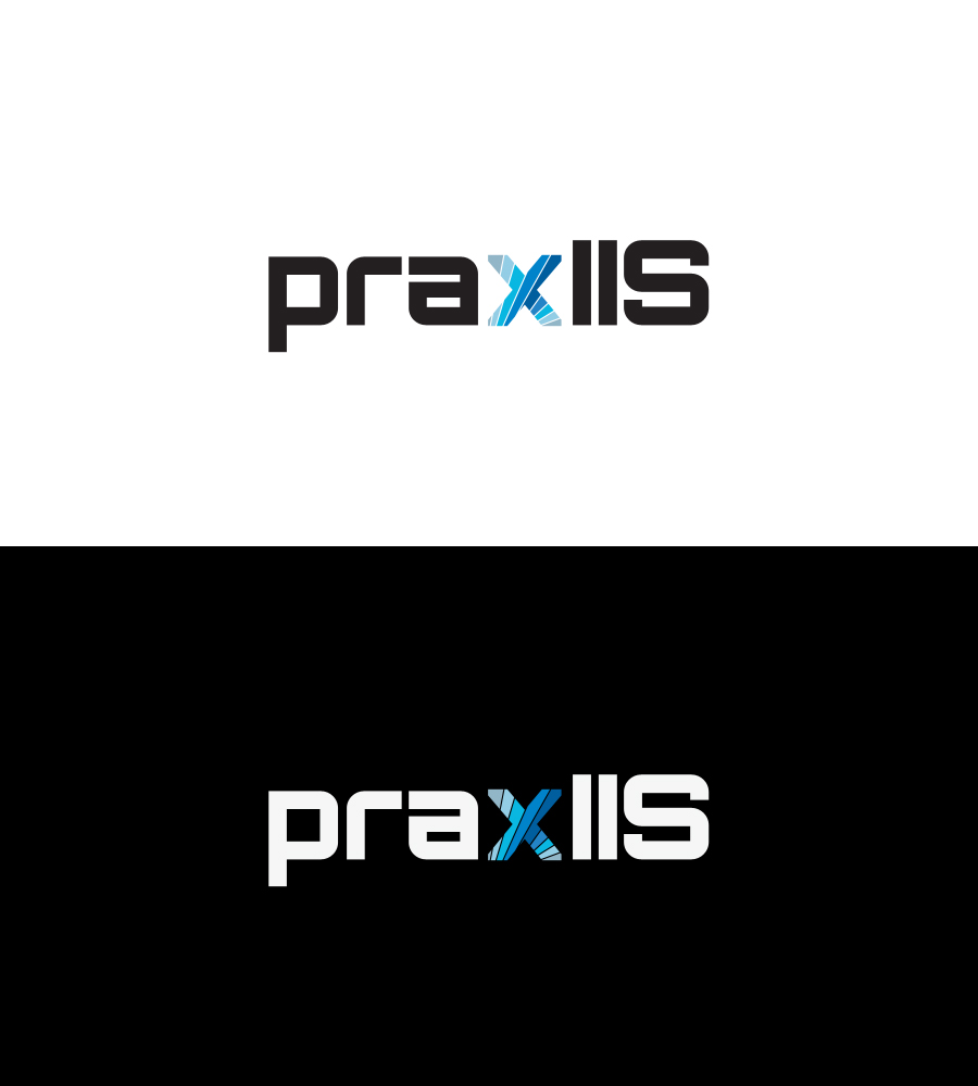 Logo Design by ketoprofen for McNeese Consulting Inc. DBA praxIIS | Design #4654407