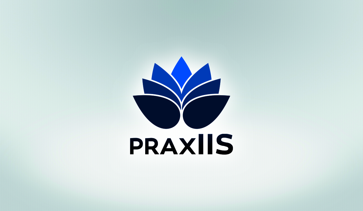 Logo Design by Gintale for McNeese Consulting Inc. DBA praxIIS | Design #4613174