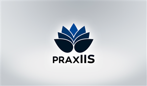 Logo Design by Gintale for McNeese Consulting Inc. DBA praxIIS | Design: #4613174