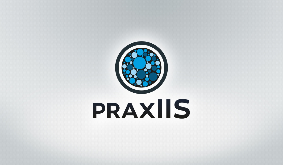 Logo Design by Gintale for McNeese Consulting Inc. DBA praxIIS | Design #4613175