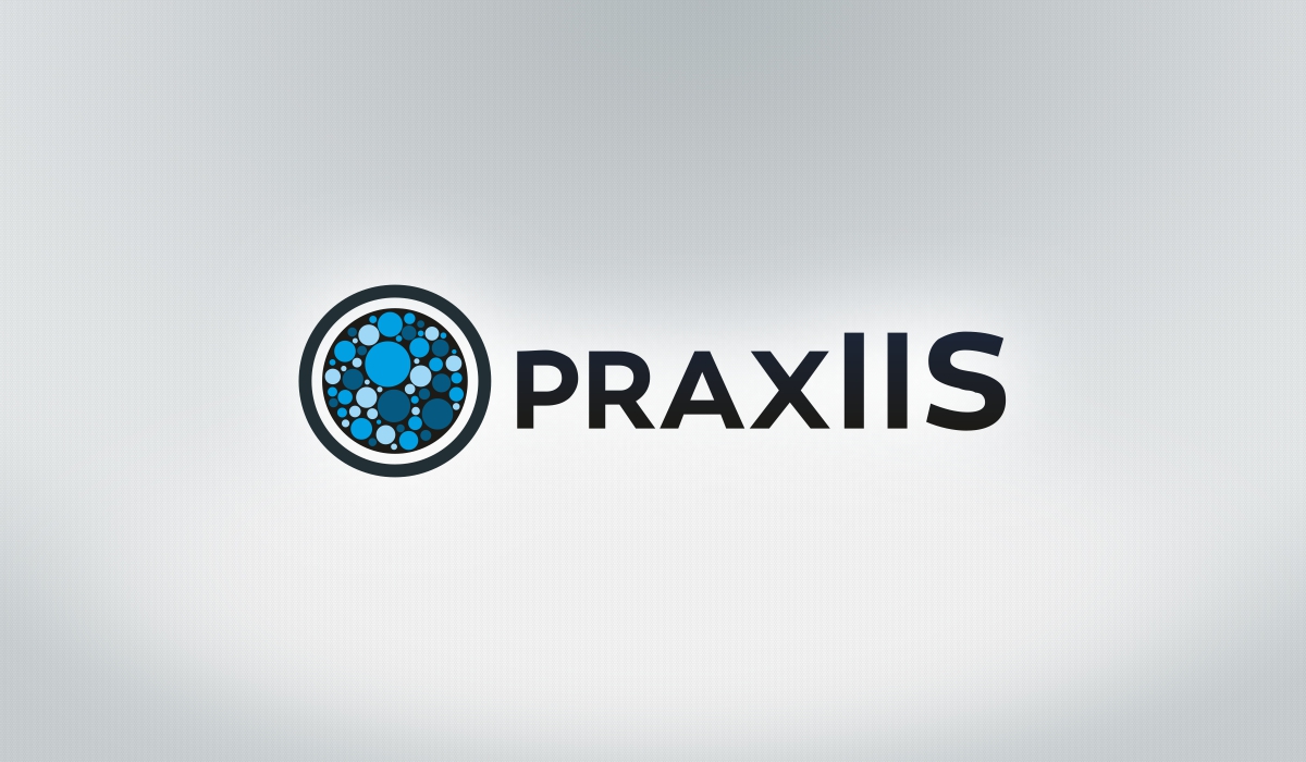 Logo Design by Gintale for McNeese Consulting Inc. DBA praxIIS | Design #4613179