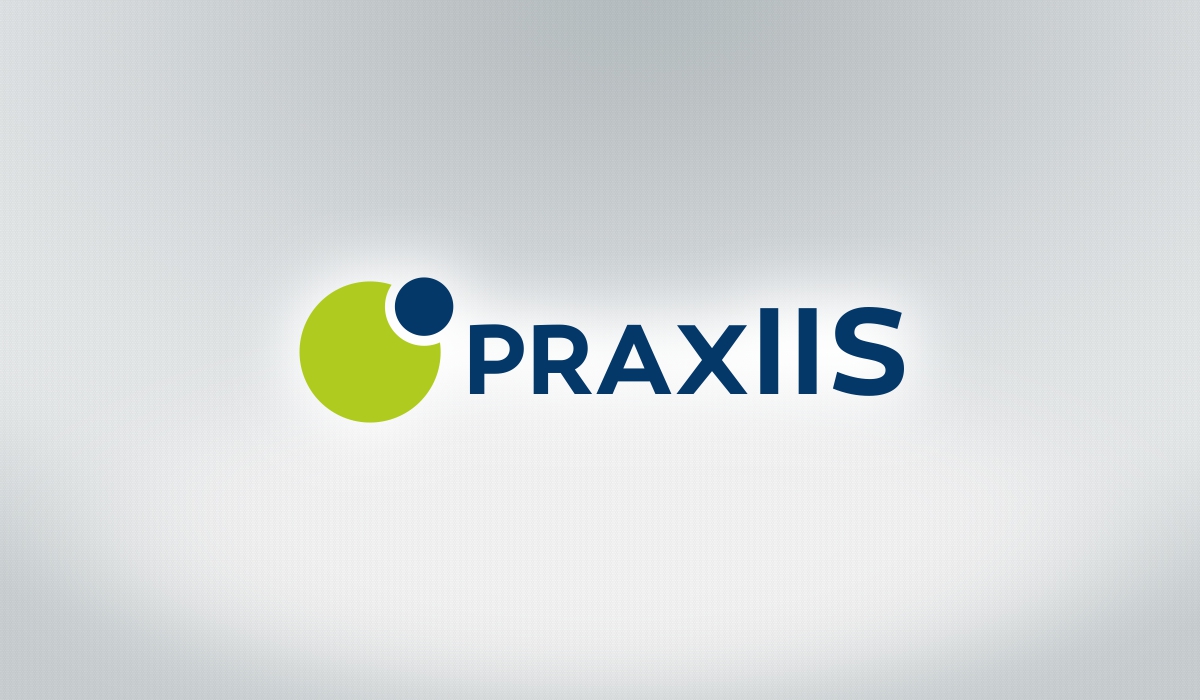 Logo Design by Gintale for McNeese Consulting Inc. DBA praxIIS | Design #4613183