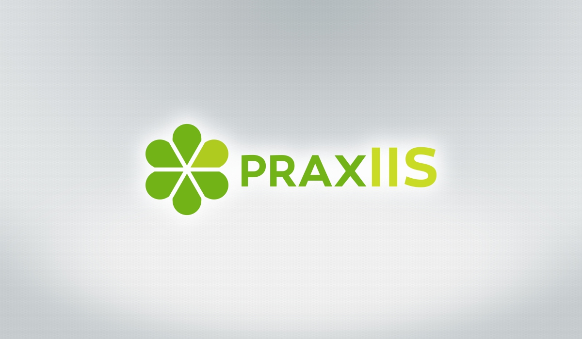 Logo Design by Gintale for McNeese Consulting Inc. DBA praxIIS | Design #4613196