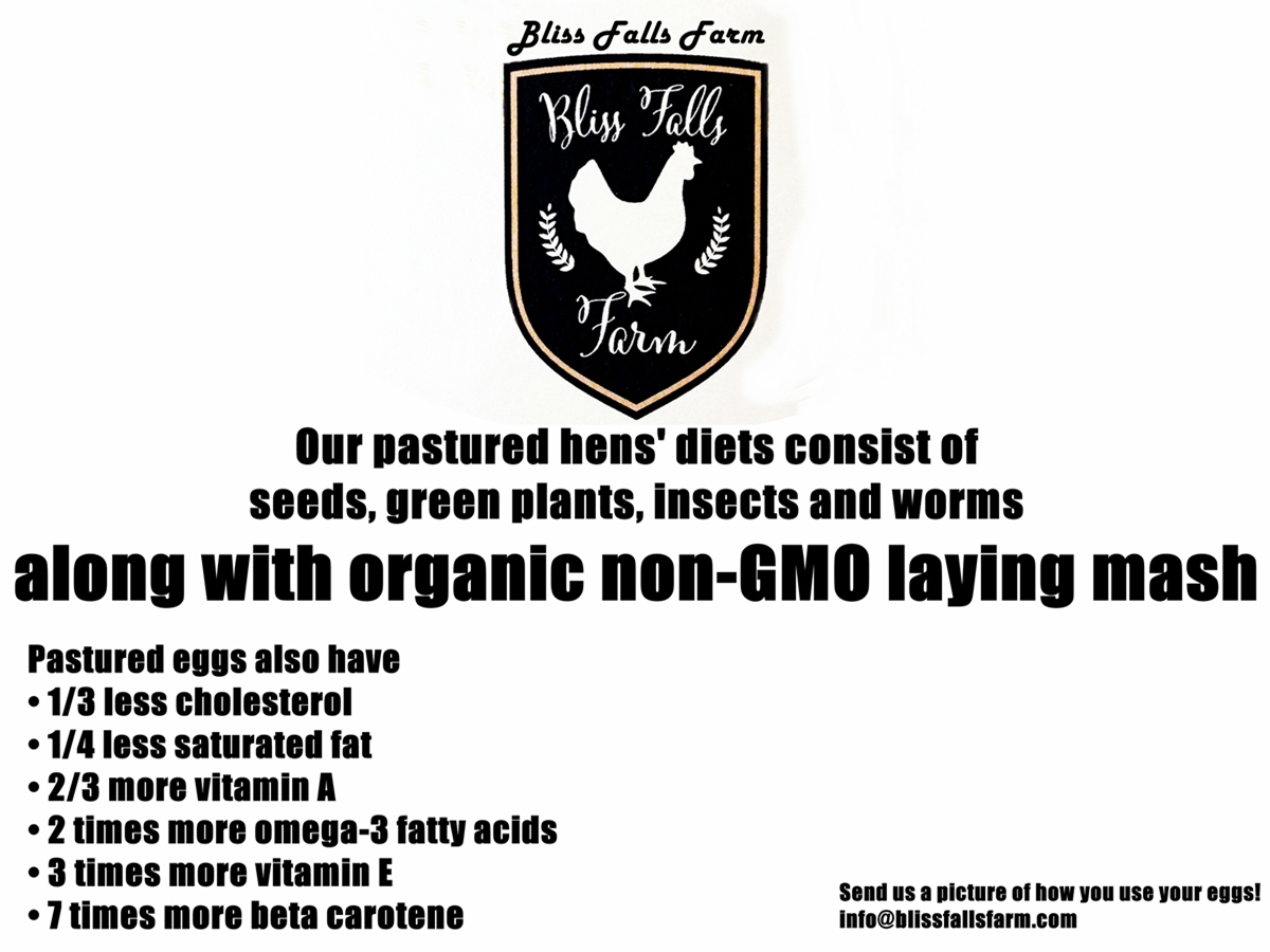 Diseño de Empaque por wendi gozali para bliss falls farm | Diseño #4621412