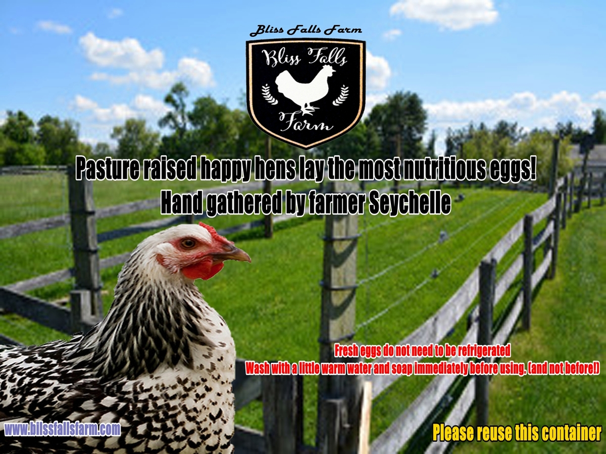 Diseño de Empaque por wendi gozali para bliss falls farm | Diseño #4621424