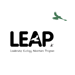 Logo Design by kiwi-carla for this project | Design: #1346606