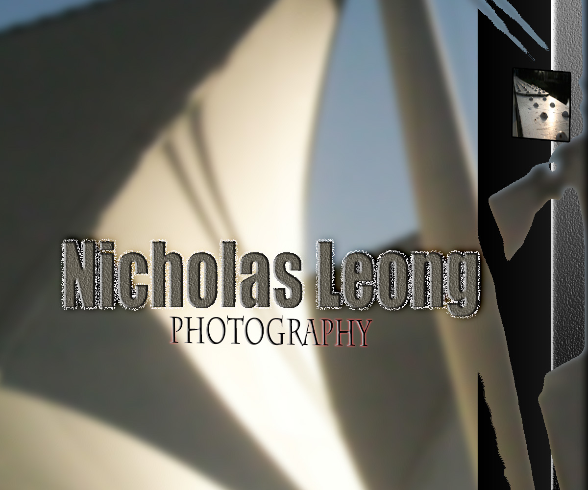 Logo Design by Tanya for this project | Design #1312648