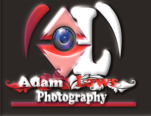 Logo Design by Wilfred Alfred