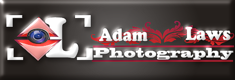 Logo Design by Wilfred Alfred for this project | Design #4651284