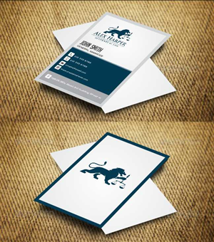 Business Card Design by AwsomeD