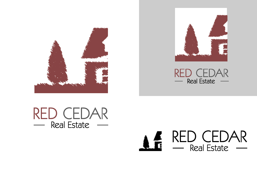 Logo Design by ek:reverse for Countrywide Sports | Design #211892
