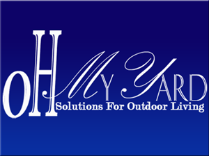 Logo Design by delve