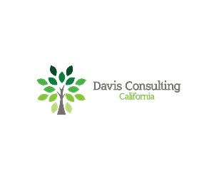 Davis Consulting California | Logo Design by Daniel Delato