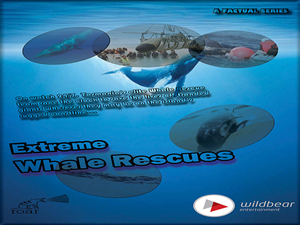 Brochure Design by JahCreation for this project | Design #4665276