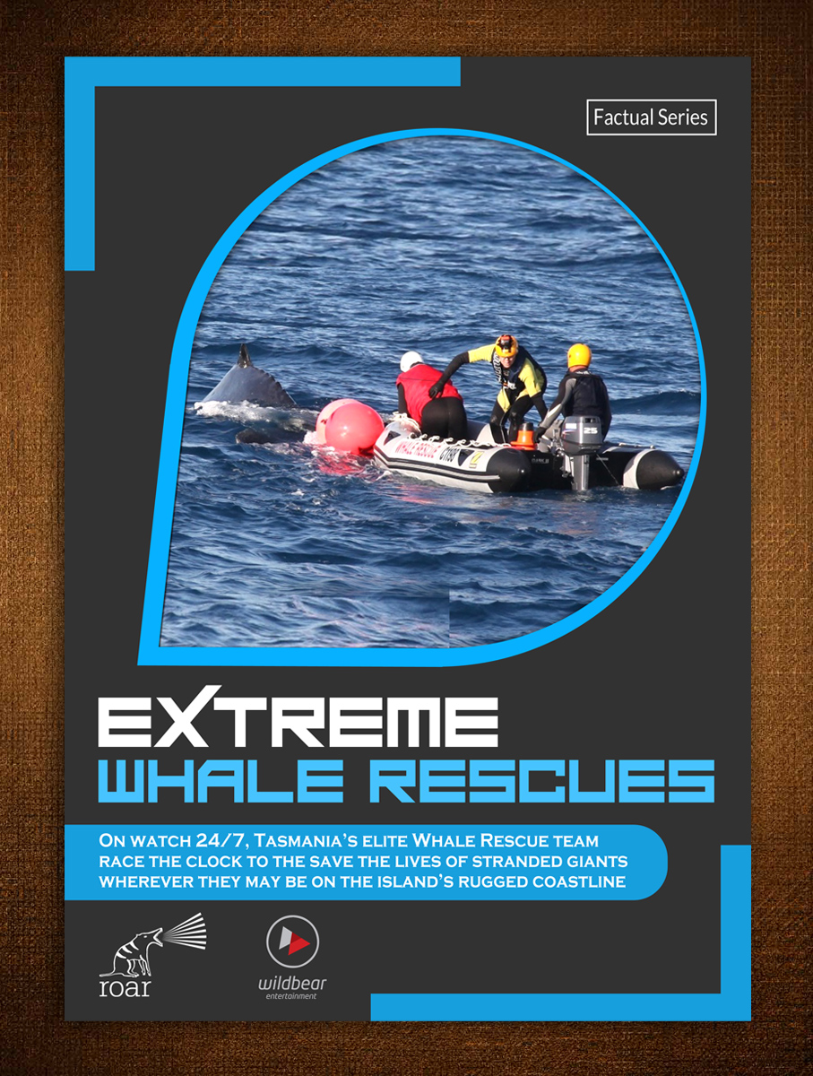 Diseño de Brochure por ESolz Technologies para este proyecto | Diseño: #4668577