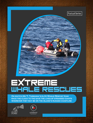 Brochure Design by ESolz Technologies for this project | Design #4668577