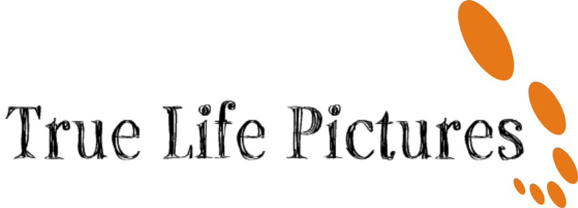 Logo Design by Alireza Mirzaei for this project | Design #212542